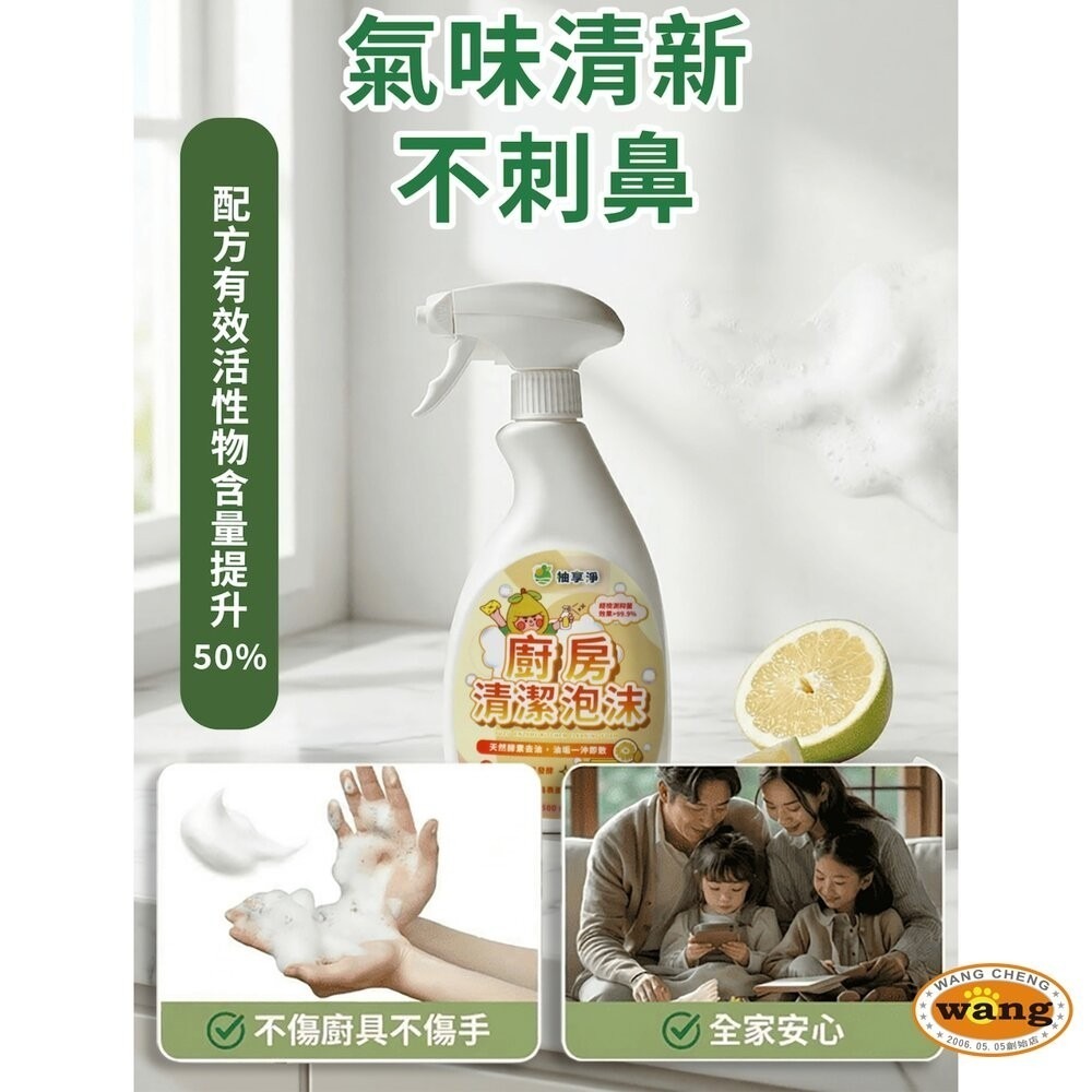 柚享淨 文旦酵素柚淨plus除油泡沫500ml(流理台清潔/油污清潔/泡沫包覆/亮潔去污/去油不費力)-細節圖9