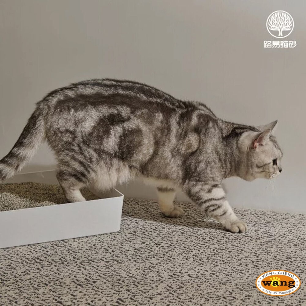 路易 LOUIS | 室內消臭純砂 88%高纖豆腐砂6L【整箱組】添加4種礦砂 超低粉塵 吸水除臭 貓砂-細節圖5