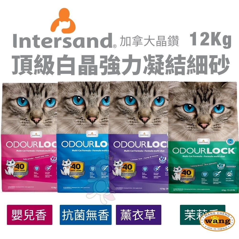 Intersand 晶鑽 貓砂7kg-14kg【免運】森林香凝結細砂 頂級白晶強力凝結細砂 貓砂『林口旗艦店』-細節圖4