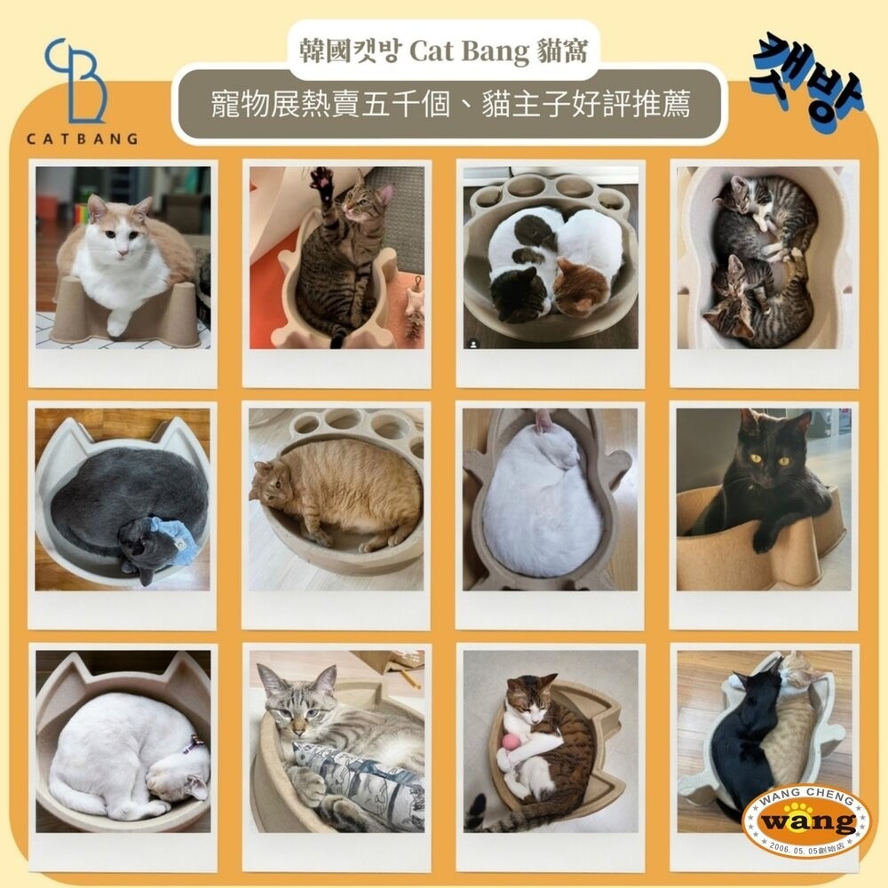 韓國 CATBANG 環保舒適貓窩 舒適貓籃 貓咪紙袋 貓抓板 貓窩 貓睡床『林口旗艦店』-細節圖10