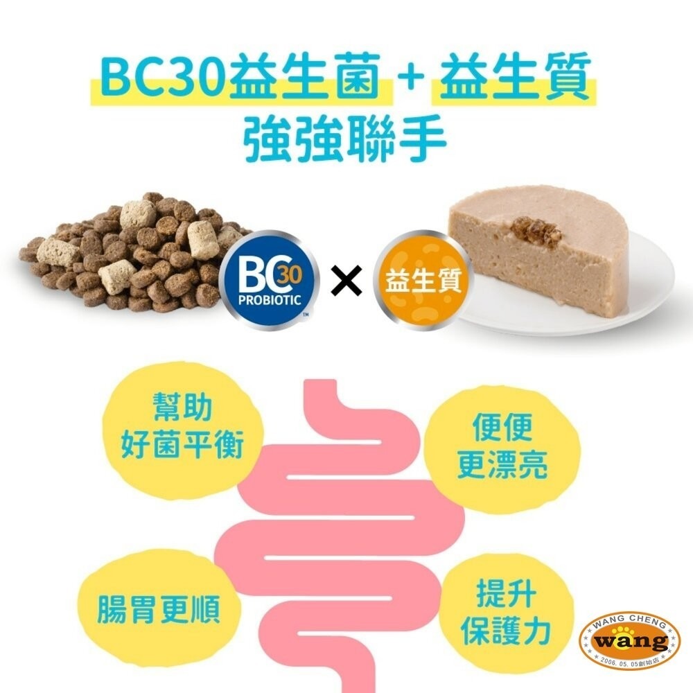 Solution 耐吉斯 好腸胃主食罐 80g【單罐】全犬 熟齡犬 主食罐 狗罐頭 狗主食 犬濕糧『林口旗艦店』-細節圖6