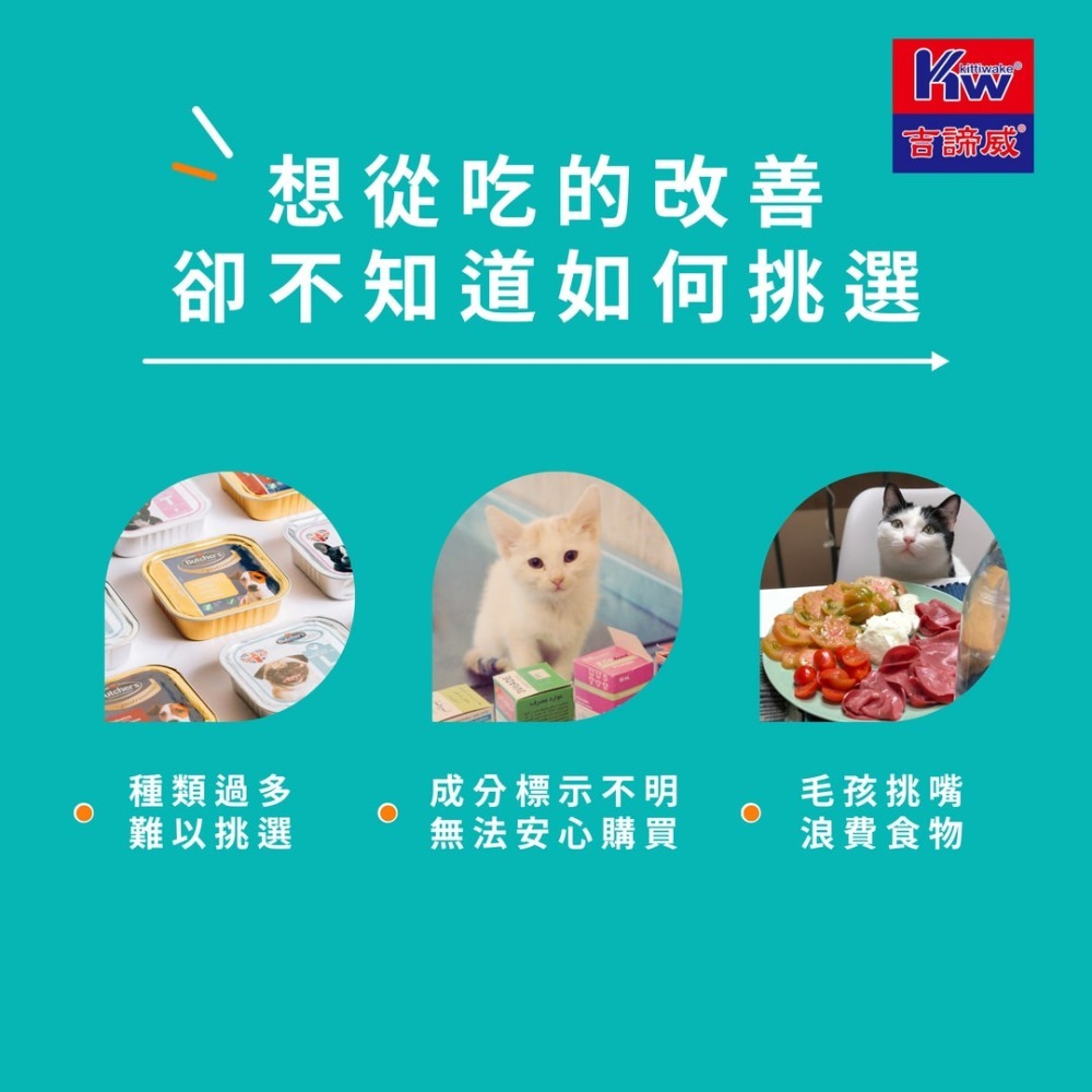 KITTWAKE吉諦威-元氣貓貓糧1.5kgx2包(海陸大餐) 貓飼料 喵星人 寵物飼料 貓糧 寵糧 全齡貓 湧笙-細節圖2