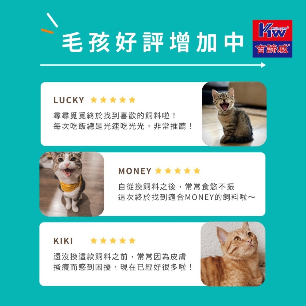 KITTWAKE吉諦威-元氣貓貓糧1.5kgx2包(海陸大餐) 貓飼料 喵星人 寵物飼料 貓糧 寵糧 全齡貓 湧笙-細節圖7