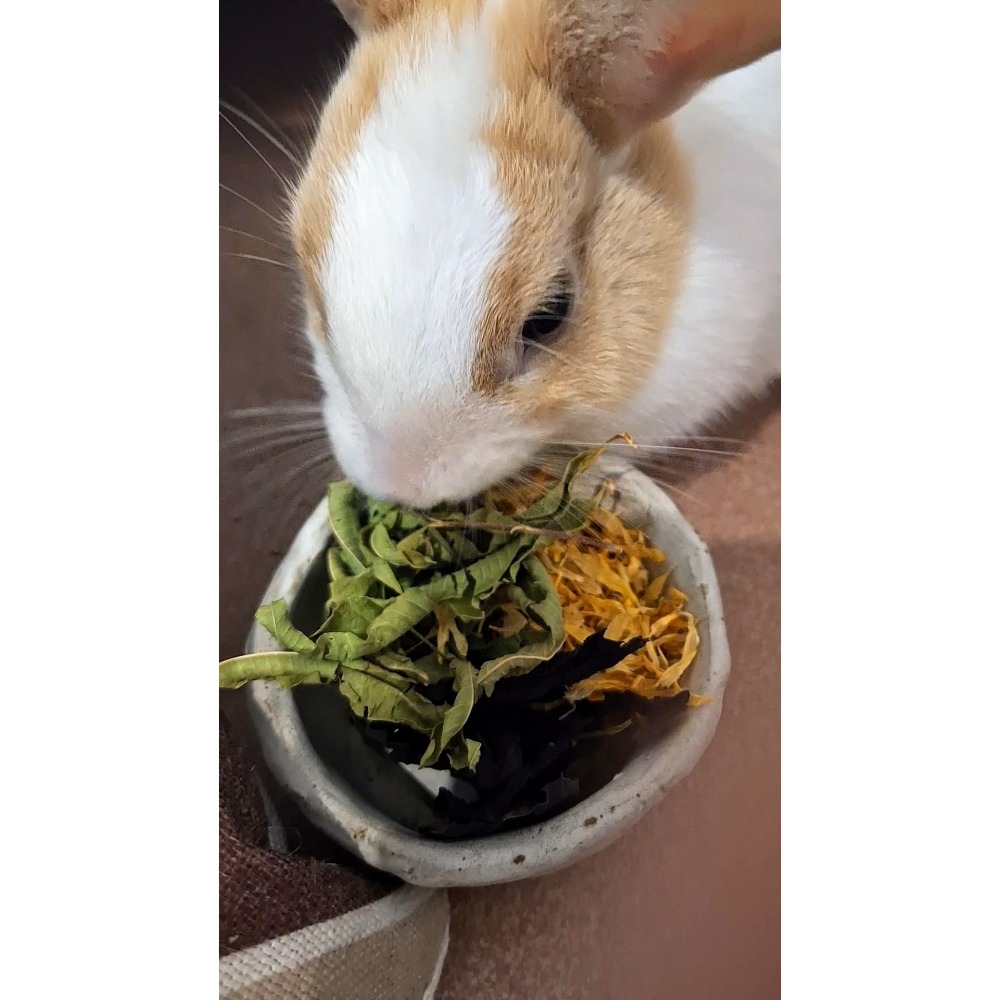 換季草本舒心包×3包裝-細節圖2