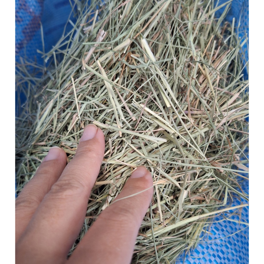 4kg未過篩草草-規格圖1