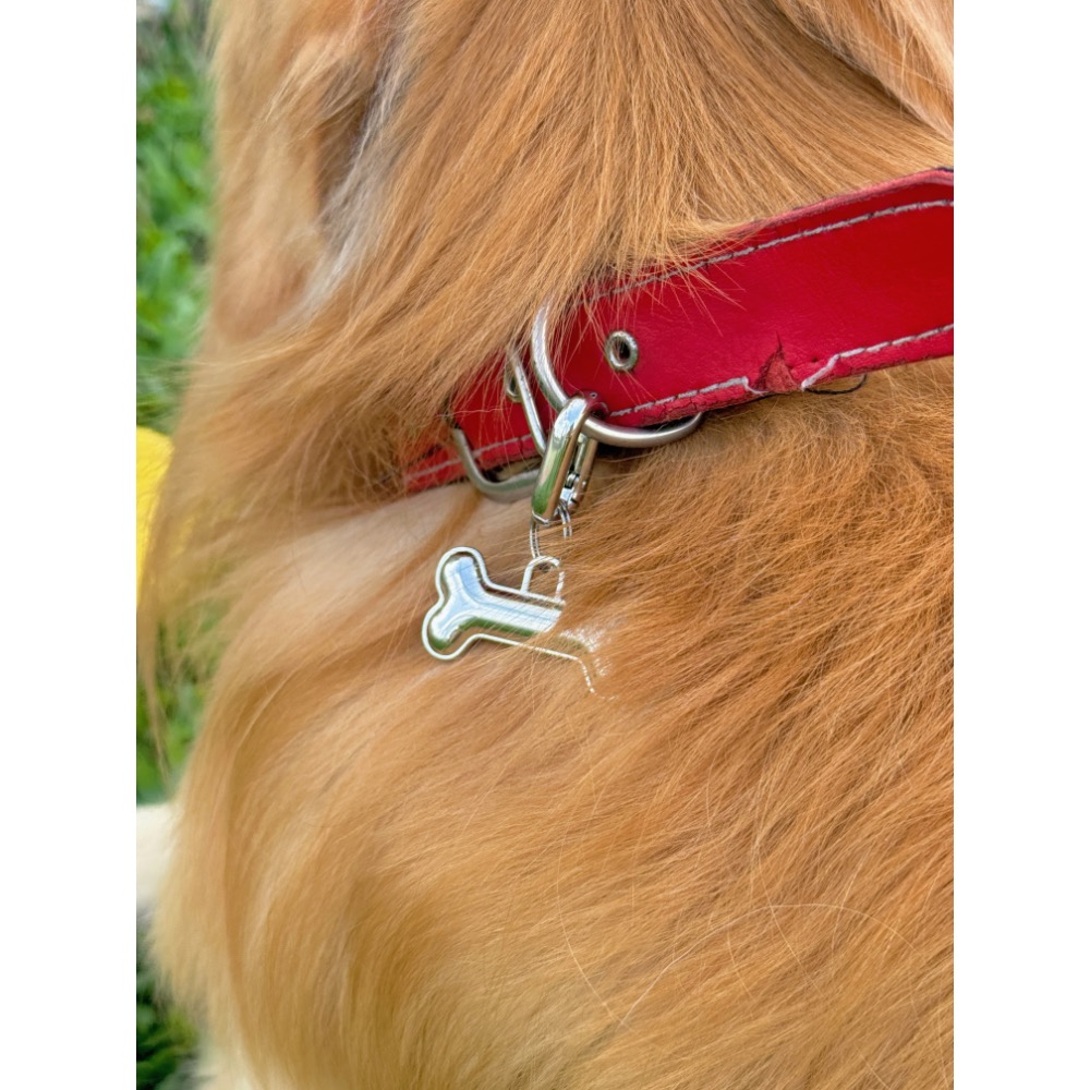 寵物吊牌-細節圖4