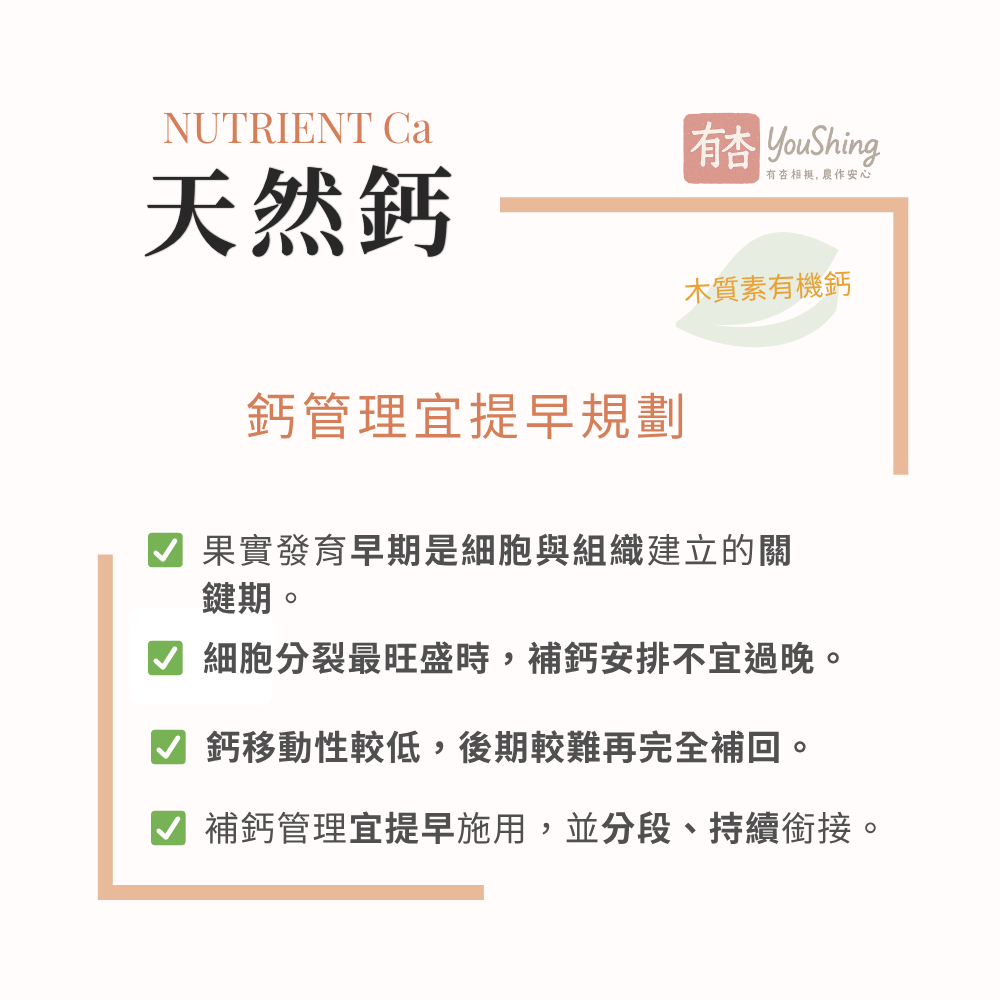 【有杏】天然鈣 1L｜義大利進口 木質素技術 液態葉面鈣肥｜果樹蔬菜 開花前至果實膨大期管理-細節圖4