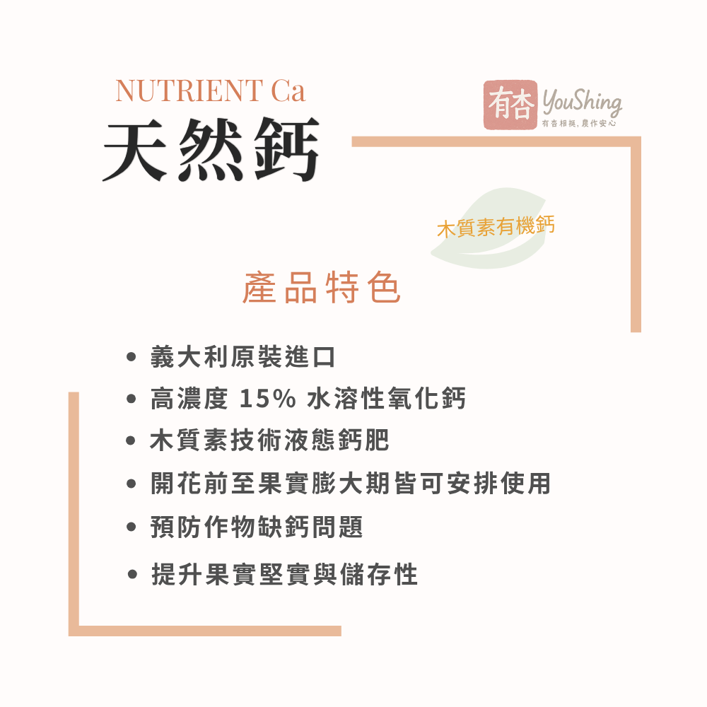 【有杏】天然鈣 5L｜義大利進口 木質素技術 液態葉面鈣肥｜果樹蔬菜開花前至果實膨大期補鈣管理-細節圖2