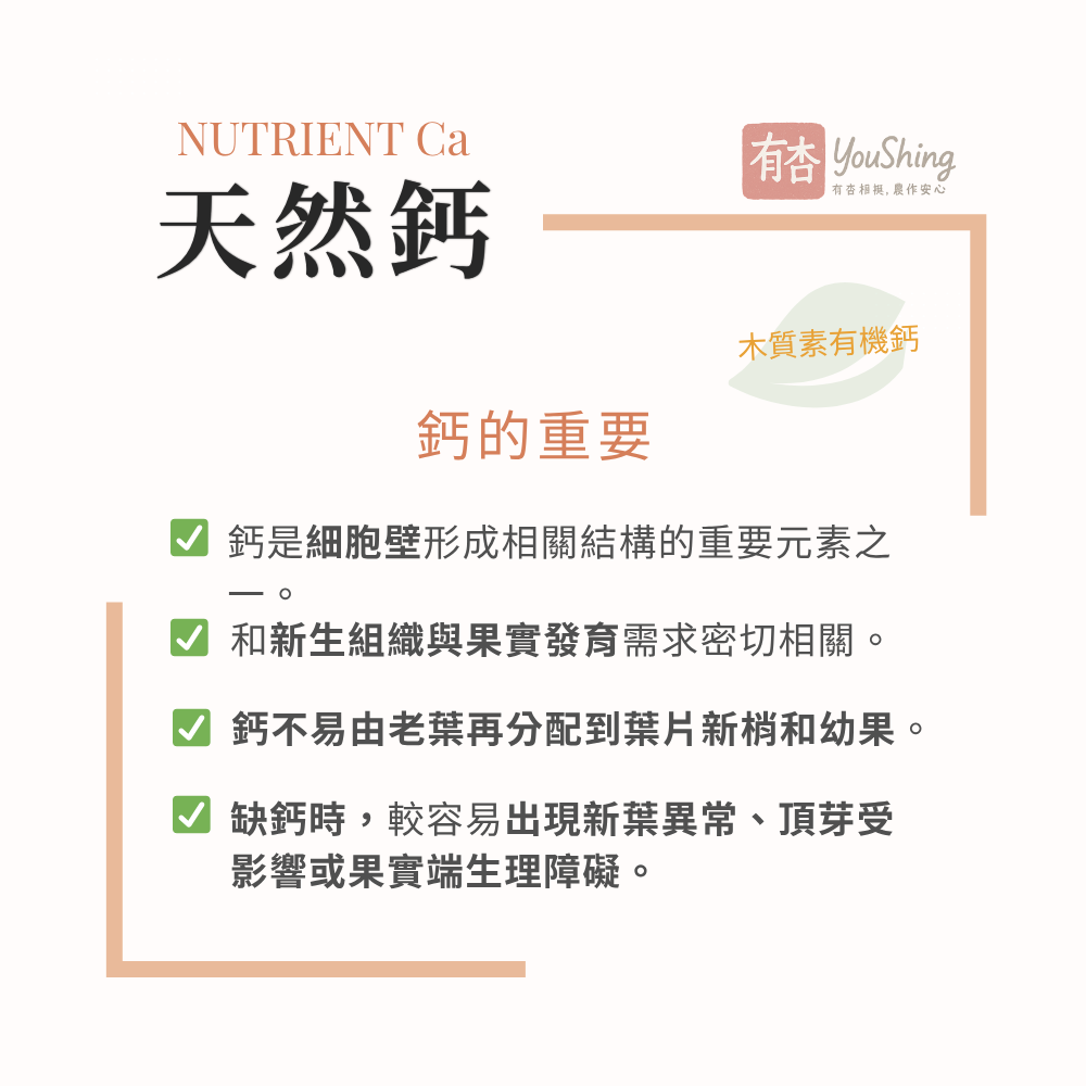 【有杏】天然鈣 5L｜義大利進口 木質素技術 液態葉面鈣肥｜果樹蔬菜開花前至果實膨大期補鈣管理-細節圖3