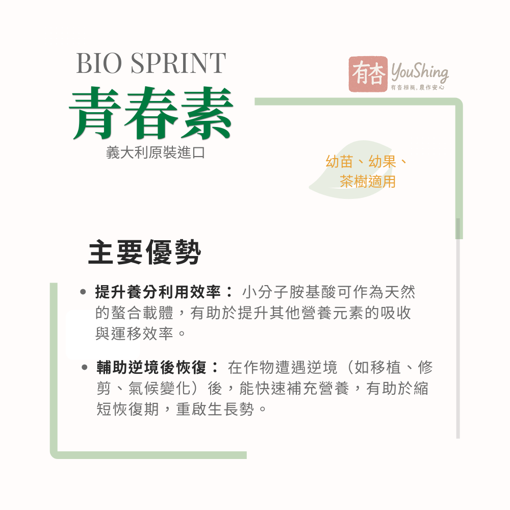 【有杏】青春素 1L｜義大利進口 植物性高蛋白胺基酸｜幼苗 幼果 營養生長 液態葉面肥-細節圖5