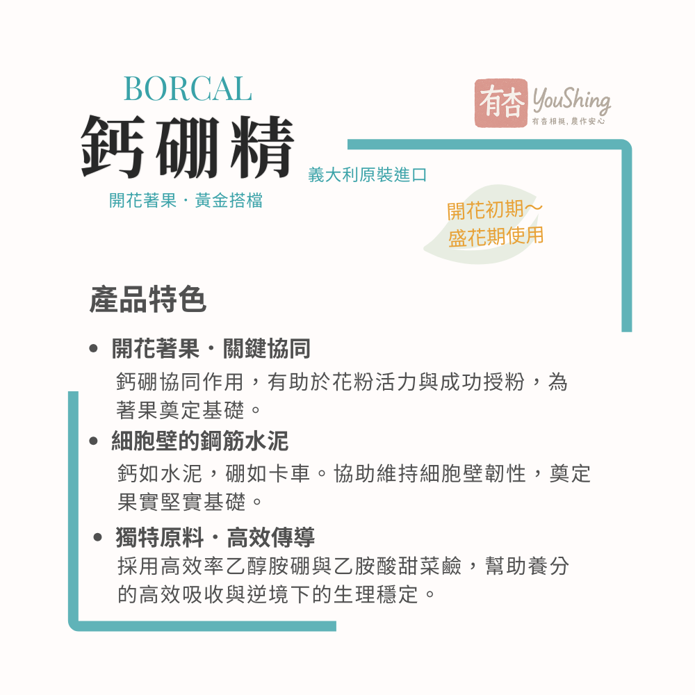 【有杏】鈣硼精 1L｜義大利進口 液態鈣硼肥｜開花著果 幼果期專用 葉面肥-細節圖2