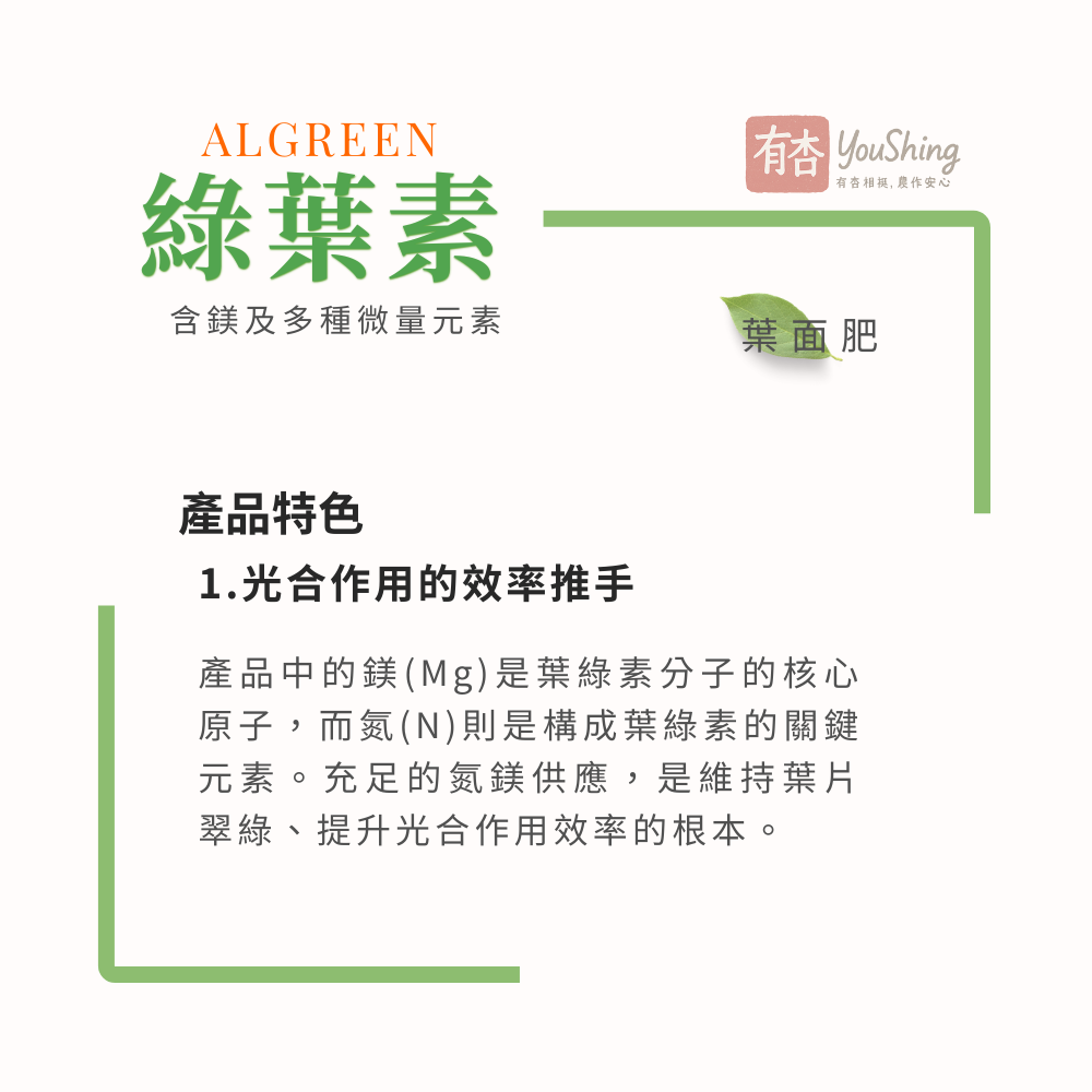 【有杏】綠葉素 1L｜葉片翠綠增厚｜綜合微量元素 葉面營養補充劑 液態肥-細節圖2