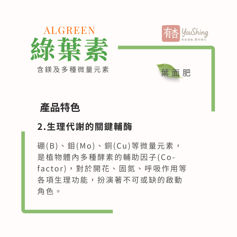 【有杏】綠葉素 1L｜葉片翠綠增厚｜綜合微量元素 葉面營養補充劑 液態肥-細節圖3