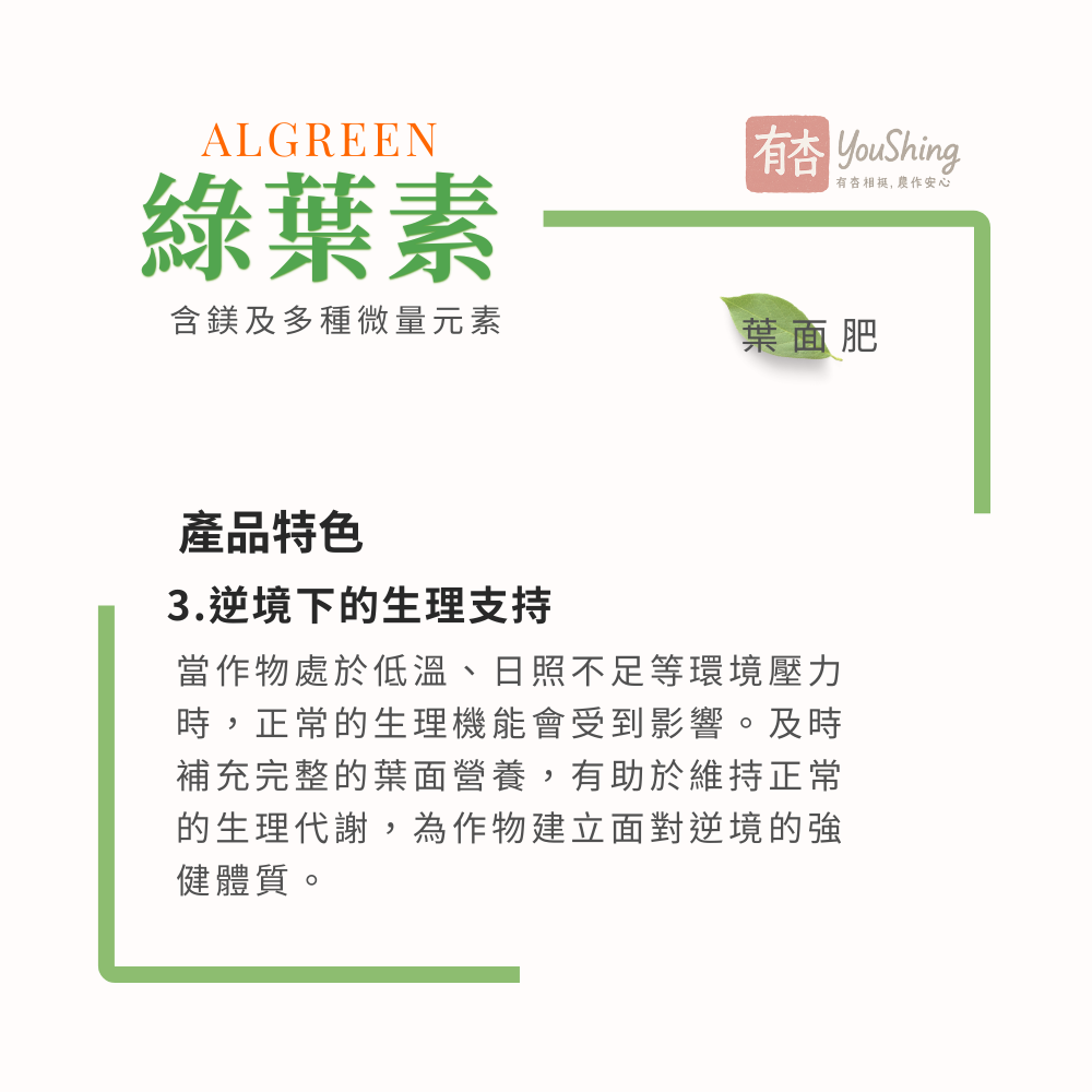 【有杏】綠葉素 1L｜葉片翠綠增厚｜綜合微量元素 葉面營養補充劑 液態肥-細節圖4