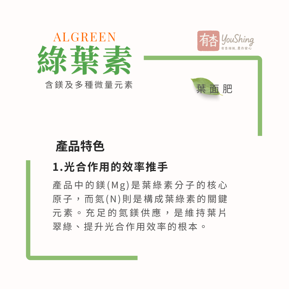 【有杏】綠葉素 5L｜葉片翠綠增厚｜綜合微量元素 葉面營養補充劑 液態肥-細節圖2