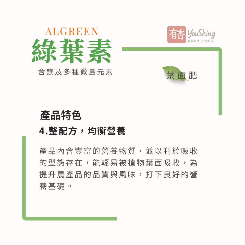 【有杏】綠葉素 5L｜葉片翠綠增厚｜綜合微量元素 葉面營養補充劑 液態肥-細節圖5