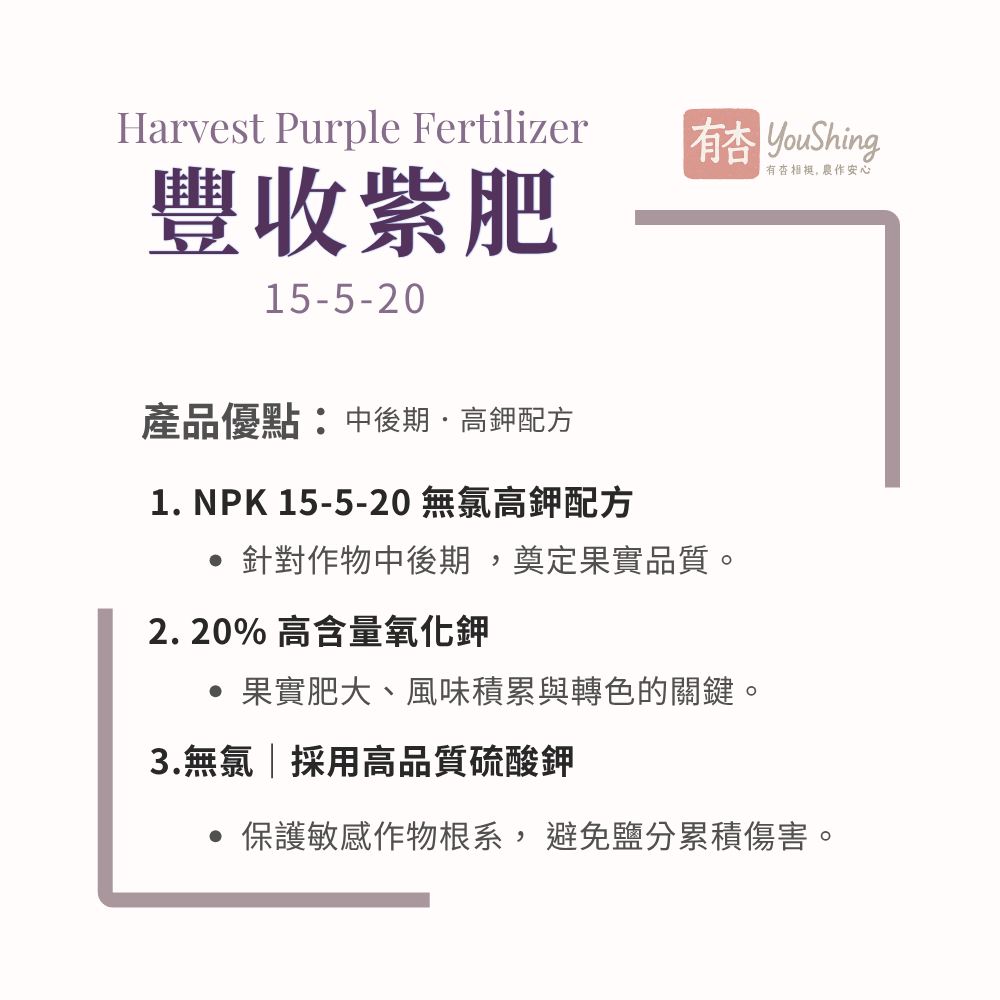【有杏】豐收紫肥 20kg｜NPK 15-5-20 無氯高鉀複合肥｜比利時進口｜果實生長膨大成熟期｜提升甜度及轉色-細節圖3