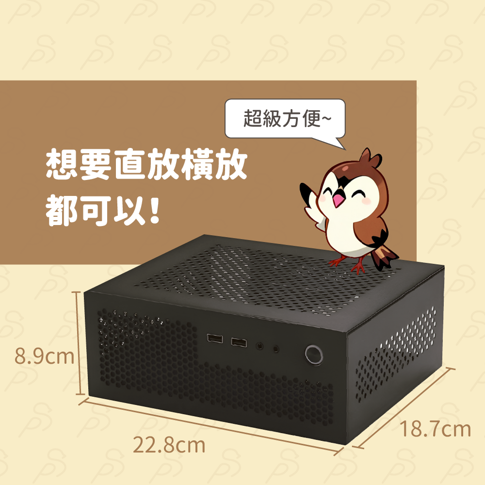 【奈系列】SKT38鋼板最小顯卡機(銀/黑)-細節圖2