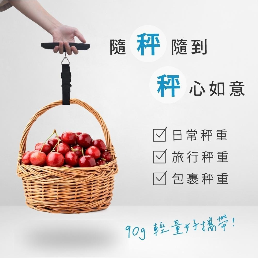 含稅全新原廠保固一年KINYO精密提把式扣環吊帶背光液晶顯示4單位行李秤(DS-014)-細節圖8