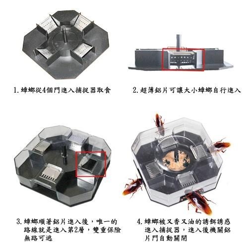 含稅全新特價月陽雙層4入口環保蟑螂捕捉器除蟑神器蟑螂屋除蟑盒(Y8008)-細節圖3