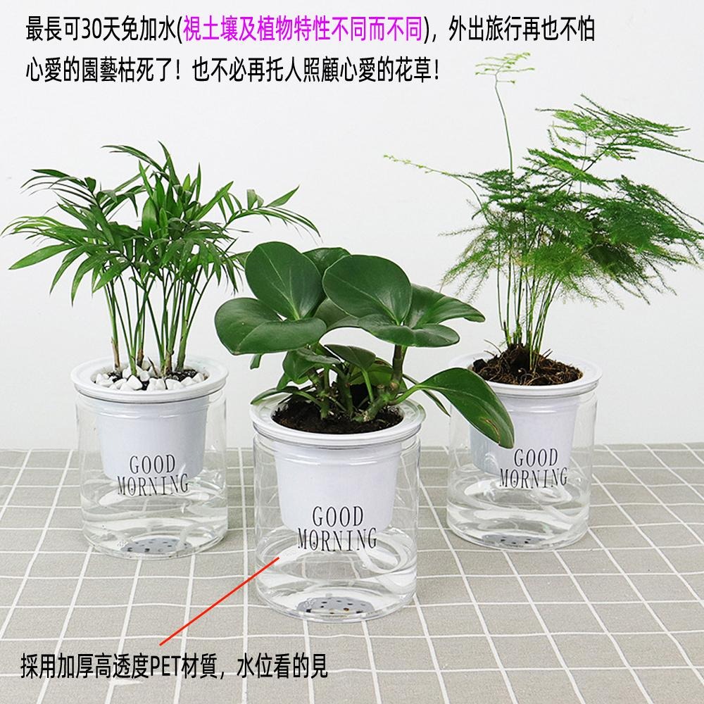 含稅全新特價月陽大號加厚透明雙層懶人花盆自動吸水澆水自動灌溉器(FP1110X1)-細節圖3
