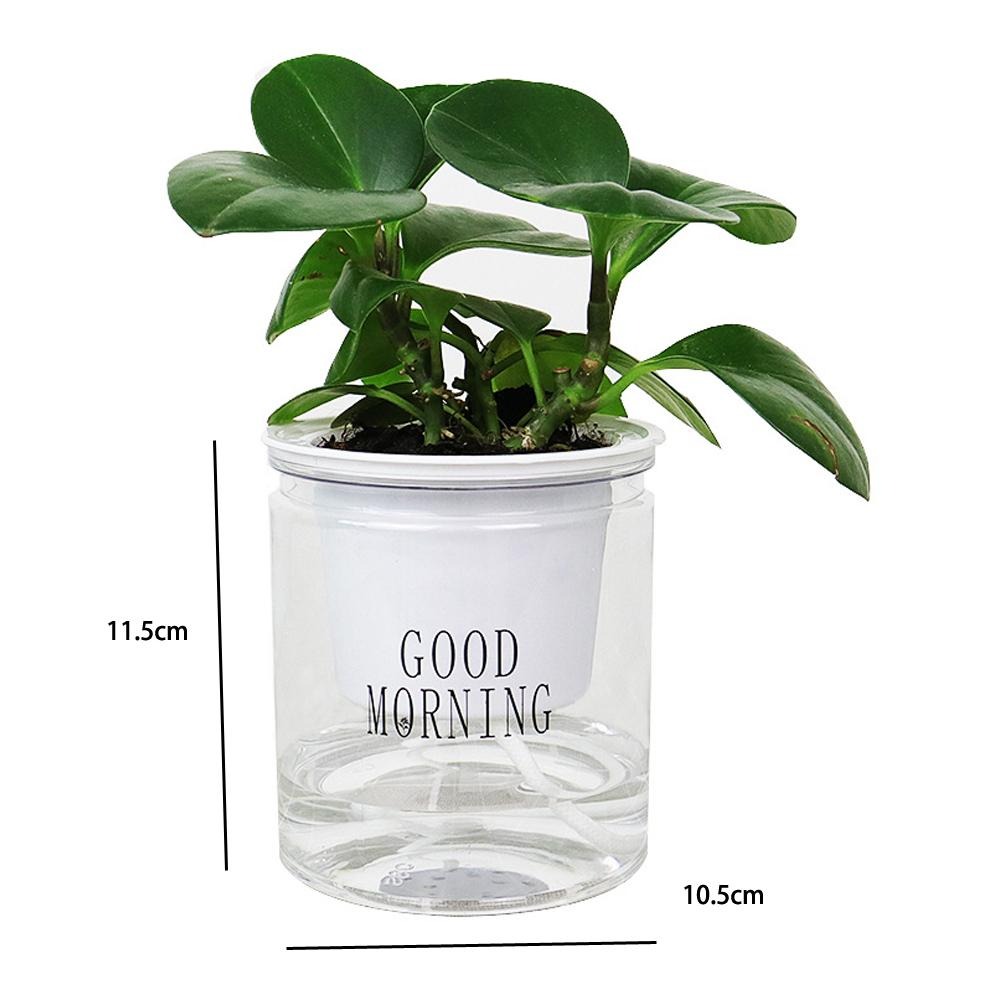 含稅全新特價月陽大號加厚透明雙層懶人花盆自動吸水澆水自動灌溉器(FP1110X1)-細節圖7