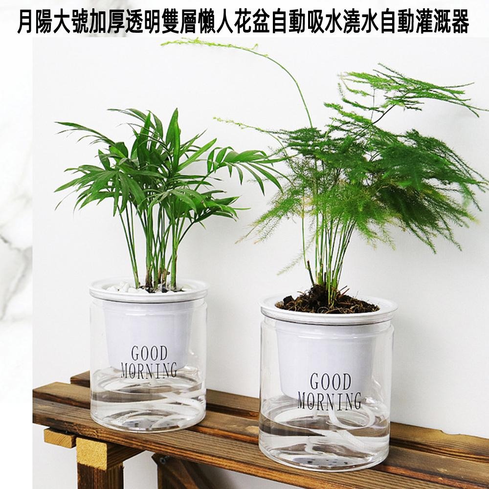 含稅全新特價月陽超值2入大號加厚透明雙層懶人花盆自動吸水澆水自動灌溉器(FP1110X2)-細節圖2
