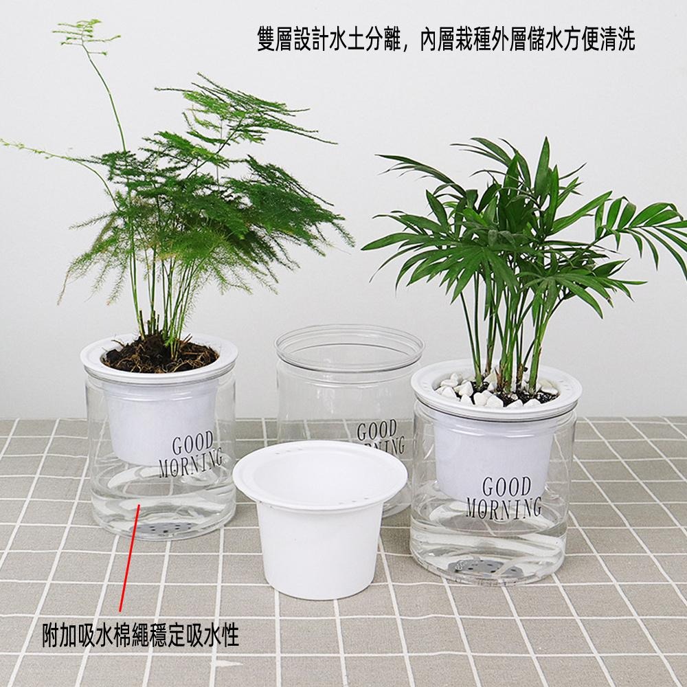 含稅全新特價月陽超值2入大號加厚透明雙層懶人花盆自動吸水澆水自動灌溉器(FP1110X2)-細節圖4