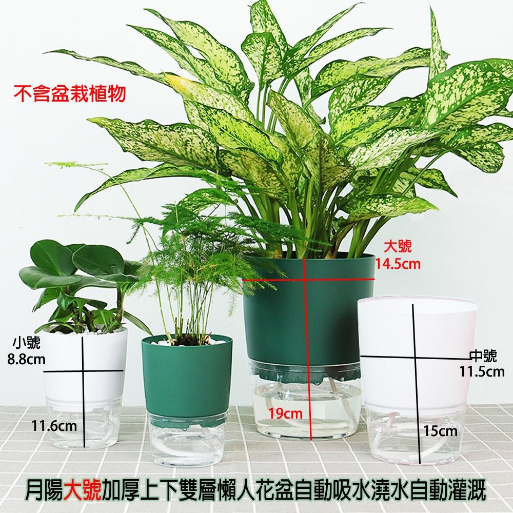 含稅全新特價月陽超值2入大號加厚上下雙層懶人花盆自動吸水澆水自動灌溉器(X150TX2)-細節圖2