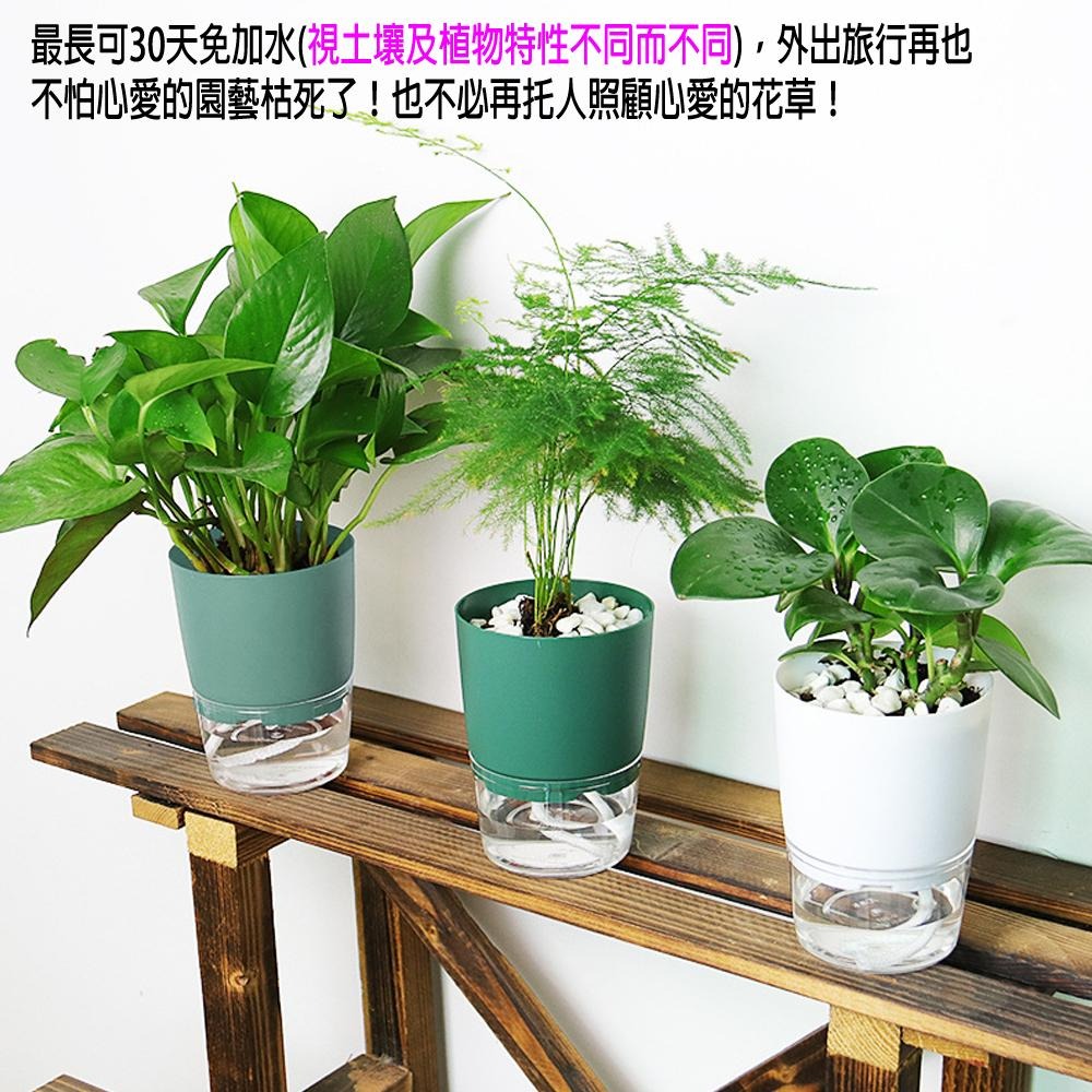 含稅全新特價月陽超值2入中號加厚上下雙層懶人花盆自動吸水澆水自動灌溉器(X115TX2)-細節圖3