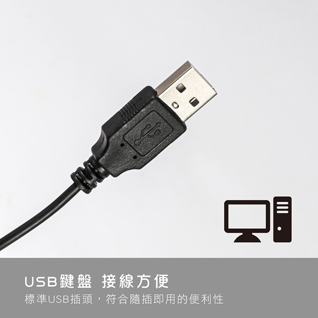 含稅原廠保固一年可超取KINYO低噪音傾斜排水標準UV覆膜USB有線鍵盤(KB-17U)-細節圖4