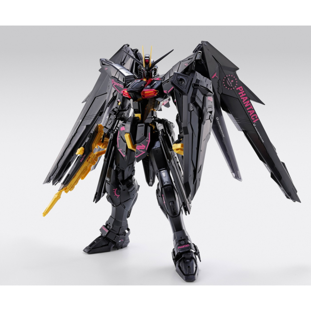 PHANTACI聯名萬代 MG 1/100 自由 FREEDOM GUNDAM Ver.J  預購-細節圖4
