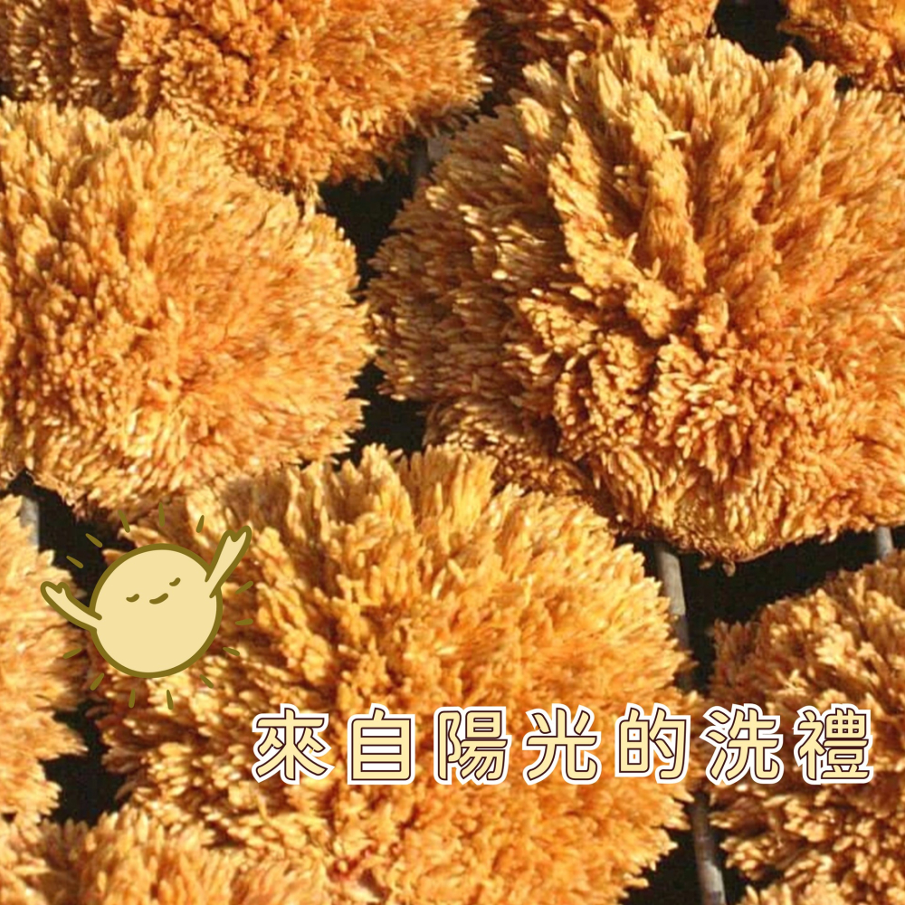 天然日曬愛玉子 手洗愛玉凍 自然農法自種日曬 送搓洗袋 涼夏美食 天然零食【3包(贈搓洗袋1個)】-細節圖3