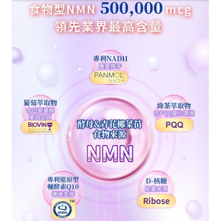 Gelovery 編哥 NMN+NADH 燕窩酸再青春 一盒-細節圖2
