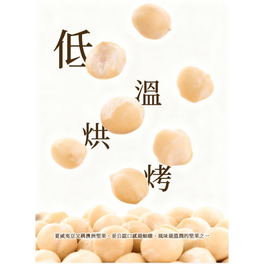 Gelovery 編哥  4L原味無加鹽夏威夷豆 500g 低溫烘焙熟豆 無調味-細節圖3