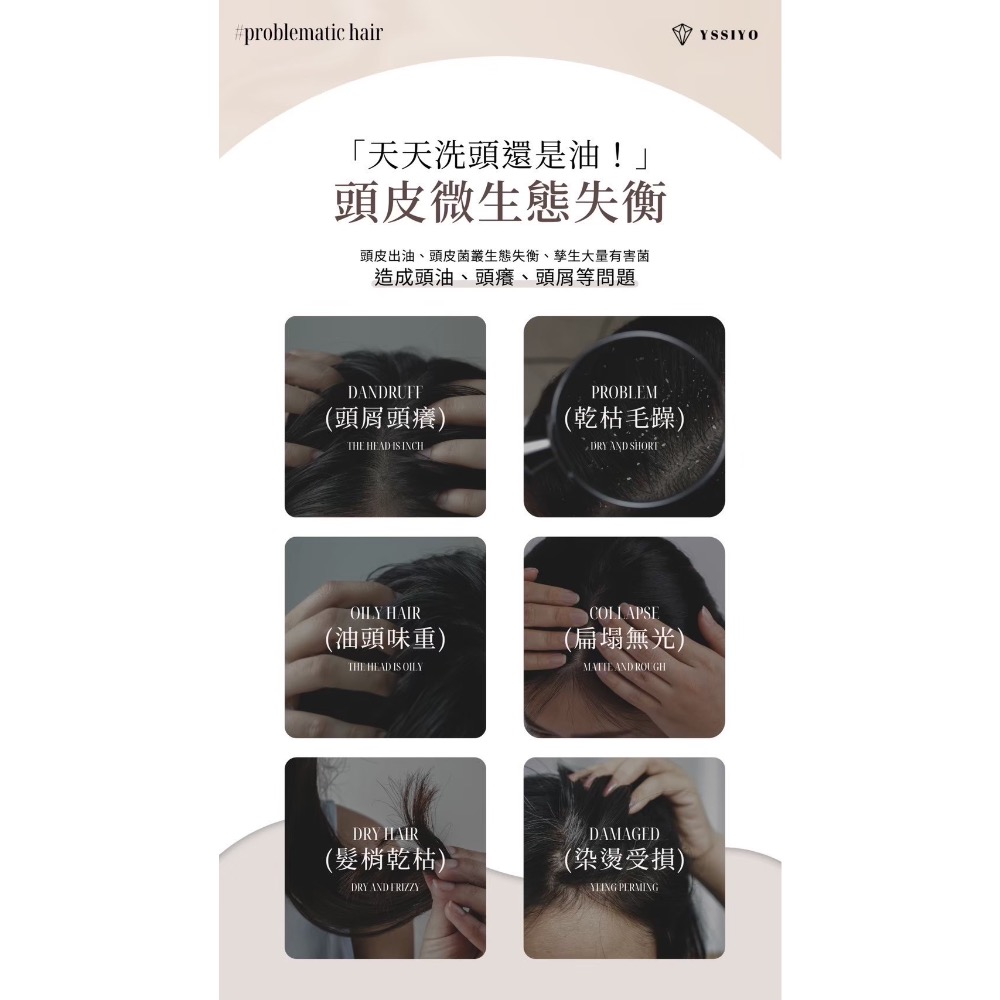 洗護系列-細節圖3