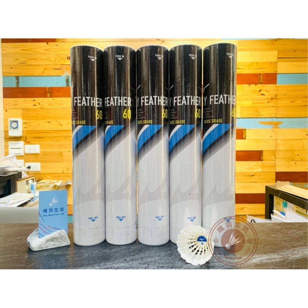 【唯羽生活】Mizuno 美津濃 SF60 羽毛球 練習級羽球 SKY FEATHER 60 F60 73MBB260-細節圖3