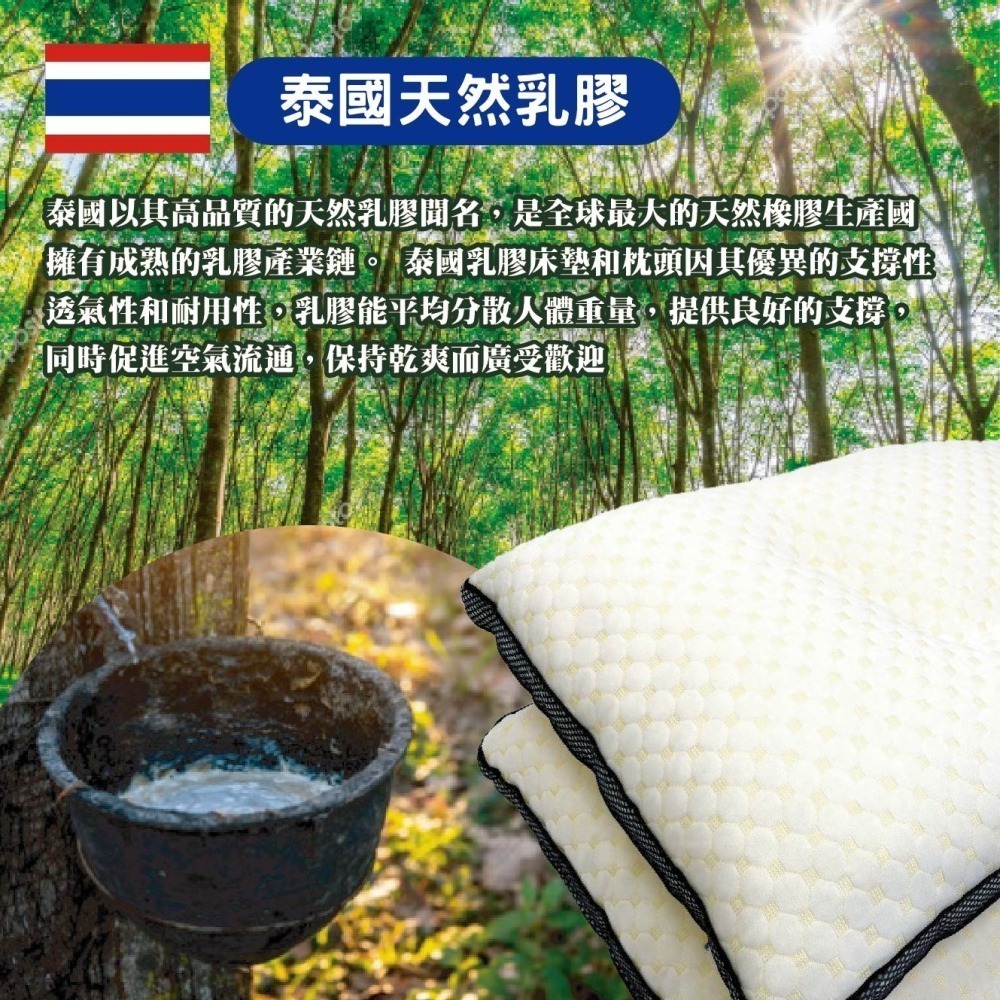 天然乳膠枕 泰國原料 人體工學枕 防螨抗菌枕頭 枕芯 彈力支撐 現貨供應-細節圖3