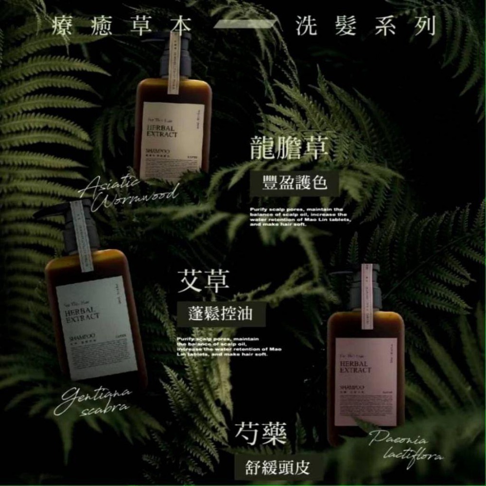 KAFEN 草本洗髮精全新現貨(300ml/罐)-細節圖2