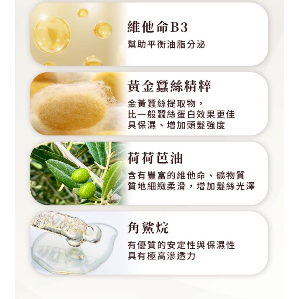 全新正品 香水人生 沐浴精 500ML 原萃生薑洗髮露 湛藍海浴 / 曠野 湛藍海浴去角質沐浴精 曠野去角質沐浴精 湛藍-細節圖5