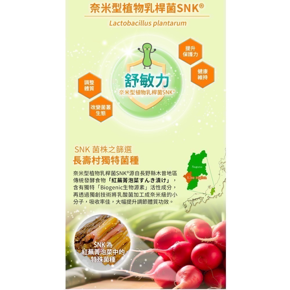 ♡北鼻的腸胃小幫手♡ 日本Sakuyo （新版盒裝）兒童禦敏型益生菌(30條/袋)-細節圖2