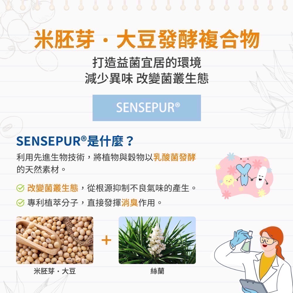 日本 sakuyo 比菲德氏菌+半乳寡醣盒裝版(30條/盒) 全新升級版盒裝心上市 公司貨-細節圖9