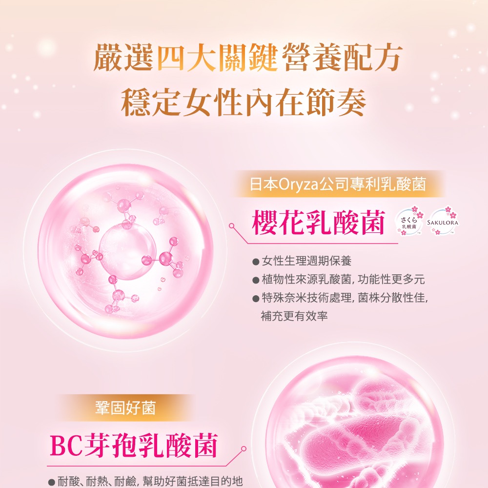 ［妹妹的好朋友］ 日本Sakuyo 櫻花益生菌 櫻花乳酸菌 BC 芽孢乳酸菌 乳酸菌  水溶性 纖維 半乳寡醣-細節圖3