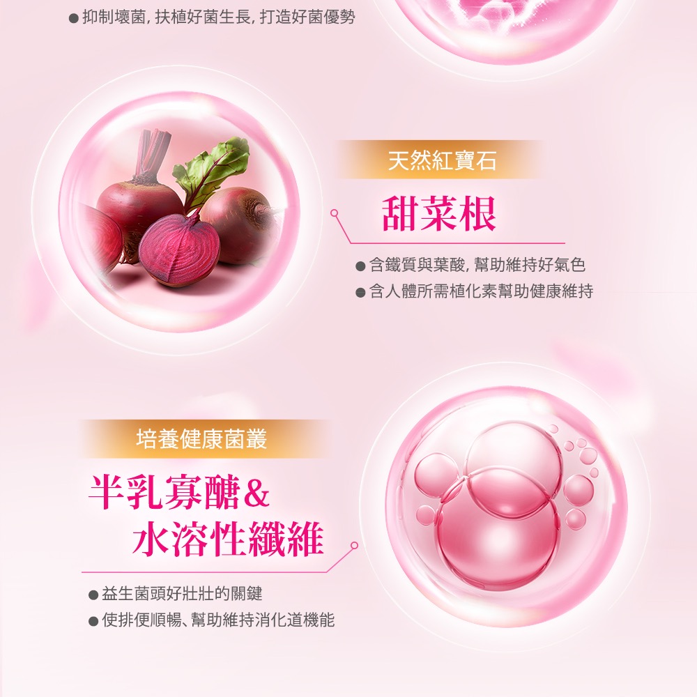 ［妹妹的好朋友］ 日本Sakuyo 櫻花益生菌 櫻花乳酸菌 BC 芽孢乳酸菌 乳酸菌  水溶性 纖維 半乳寡醣-細節圖4