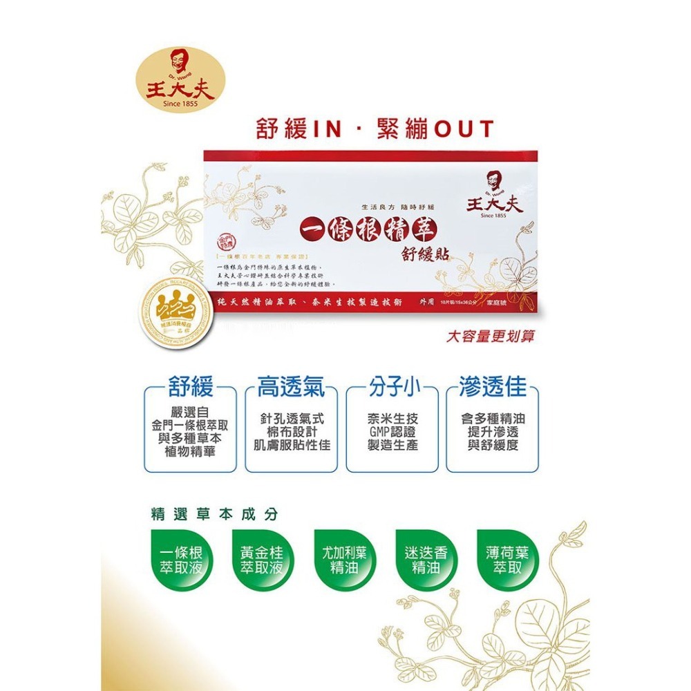 王大夫一條根 精萃舒緩貼布(大) 10片 保存日期2026.05.17-細節圖2