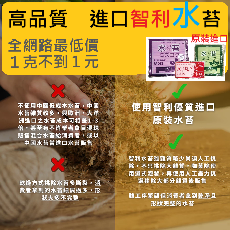 五星 水苔 (智利) 乾燥 介質 扦插 播種 園藝 養殖 多用途-細節圖2