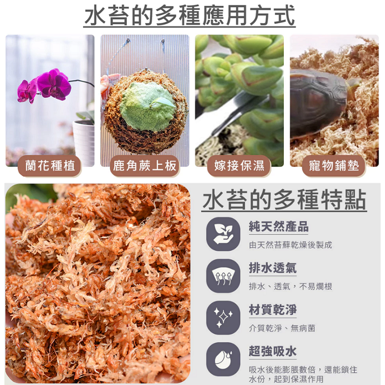 五星 水苔 (智利) 乾燥 介質 扦插 播種 園藝 養殖 多用途-細節圖3