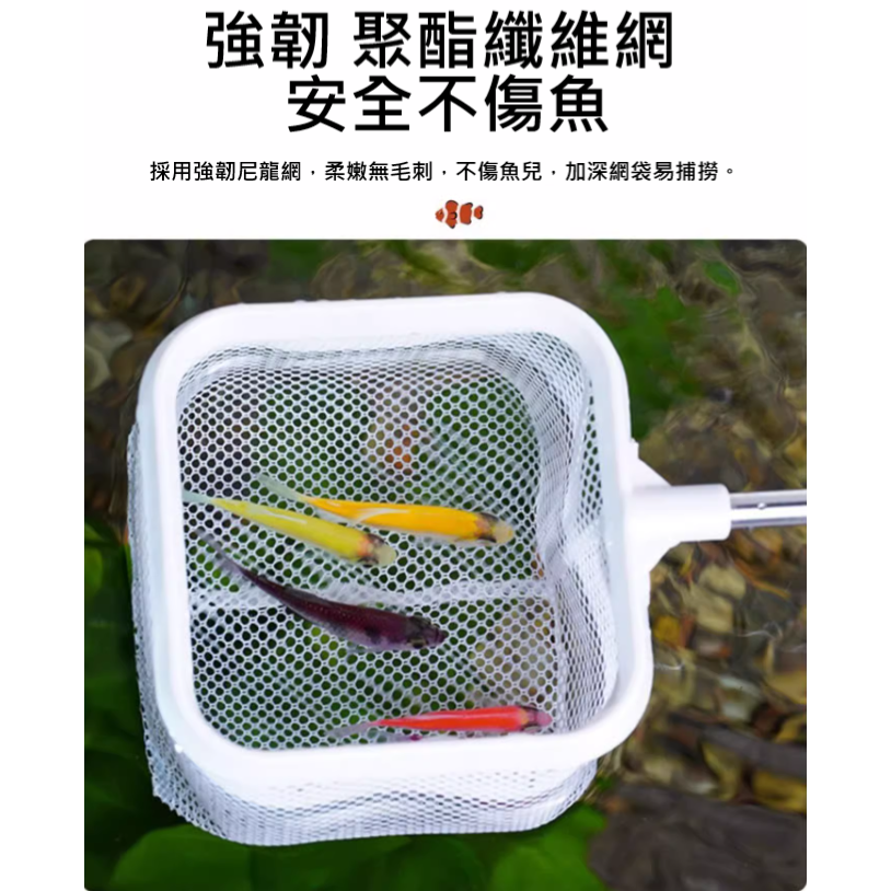 🎏 水族 新款二合一 3D 立體 可 伸縮 不鏽鋼 魚網 魚撈網 蝦網-細節圖2