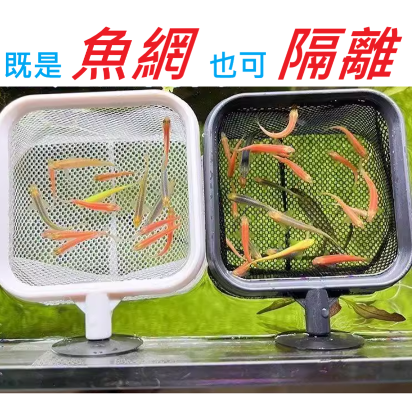 🎏 水族 新款二合一 3D 立體 可 伸縮 不鏽鋼 魚網 魚撈網 蝦網-細節圖4