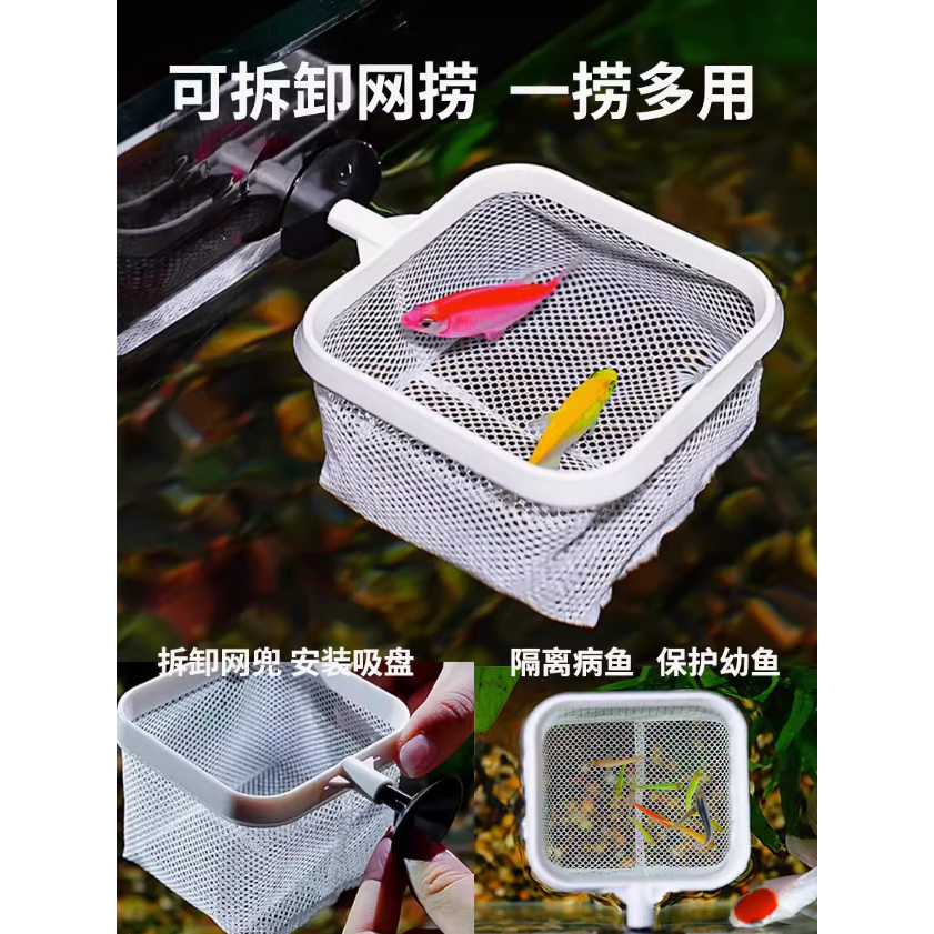 🎏 水族 新款二合一 3D 立體 可 伸縮 不鏽鋼 魚網 魚撈網 蝦網-細節圖6